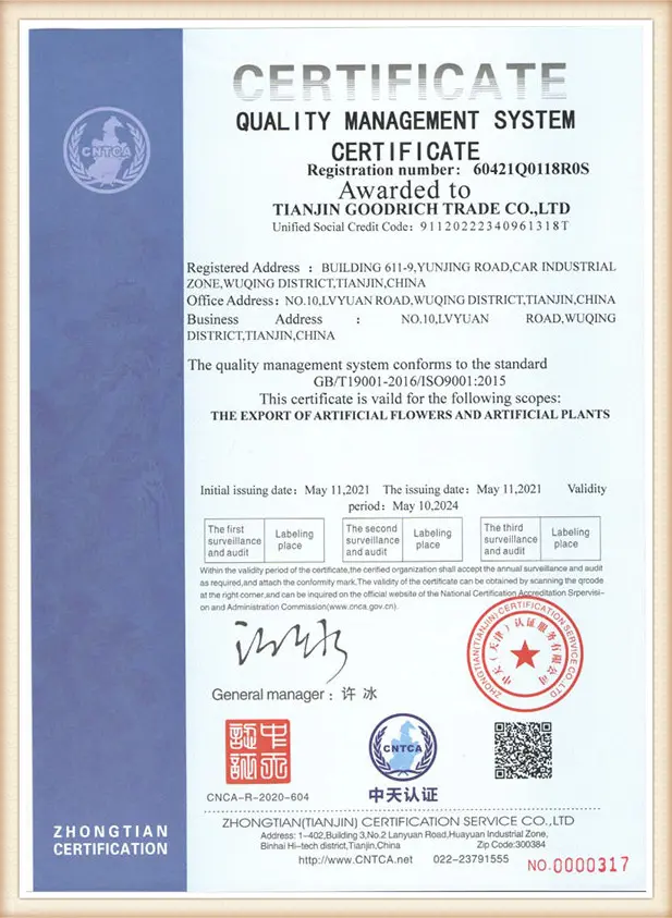Certificate 4