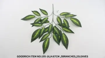 Leaves 195-16