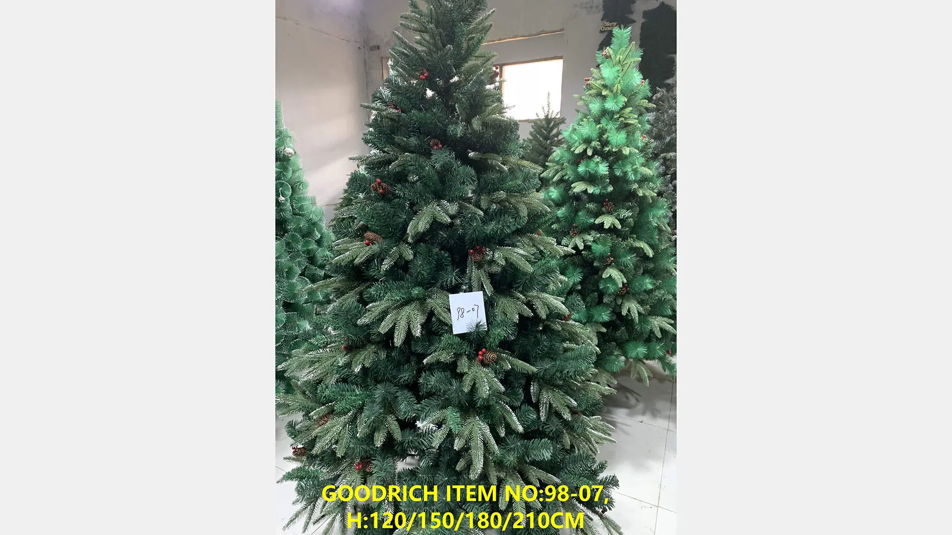 Christmas trees 98-07.jpg