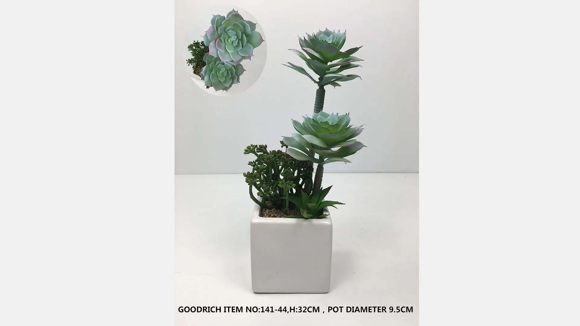 Pot flowers 141-44.jpg