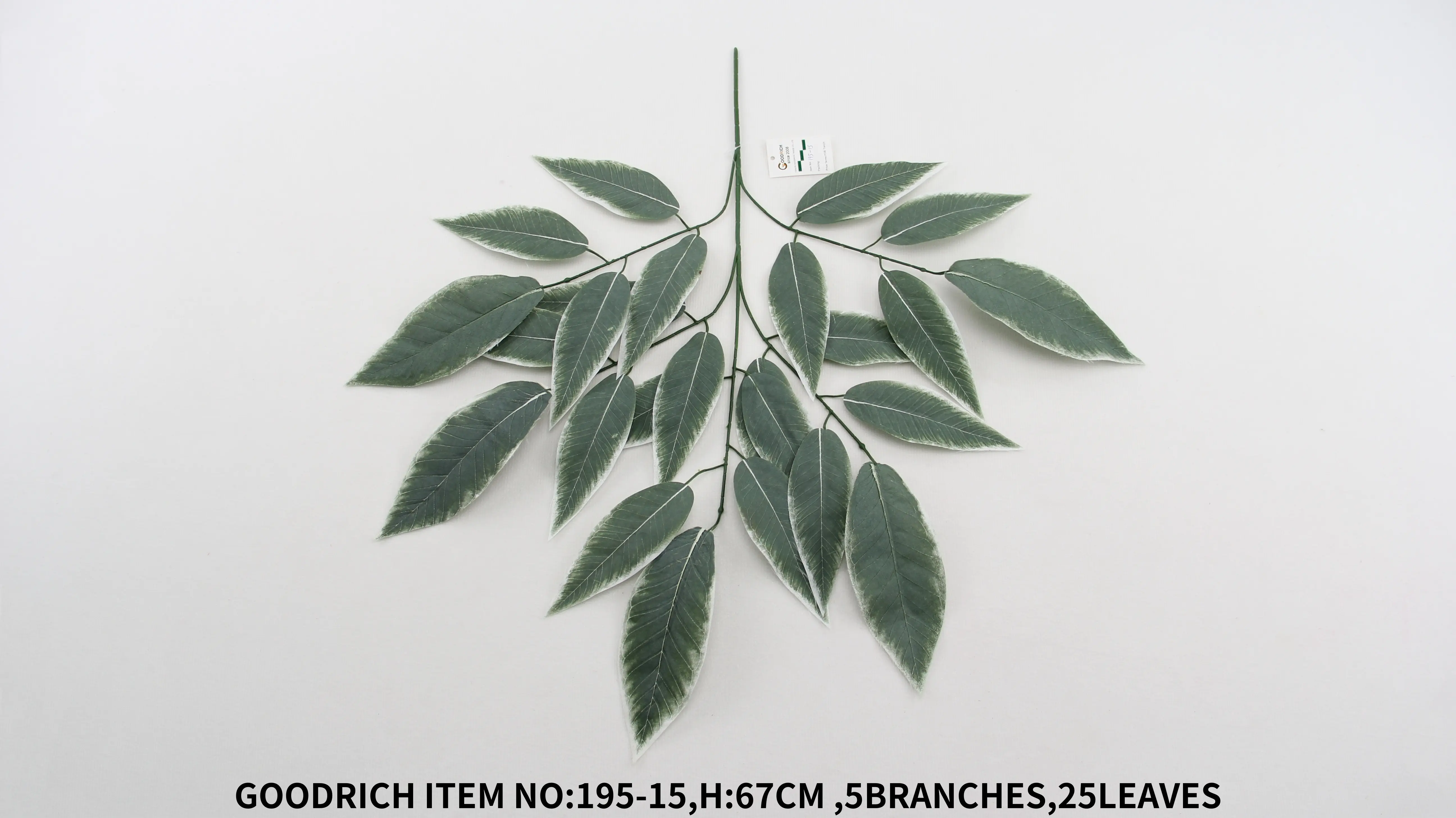 Leaves 195-15