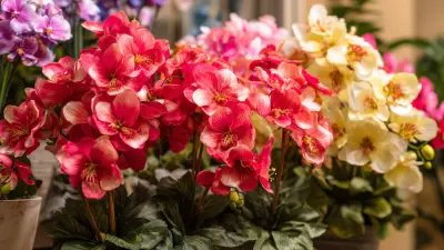 Ultimate Guide to Choosing the Best Floral Silk Plants for Your Home Decor Needs