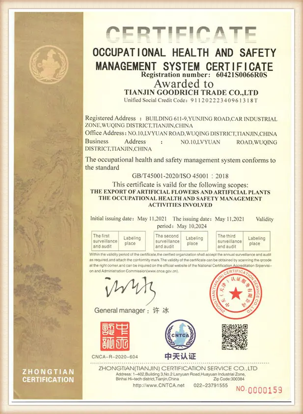 Certificate 5